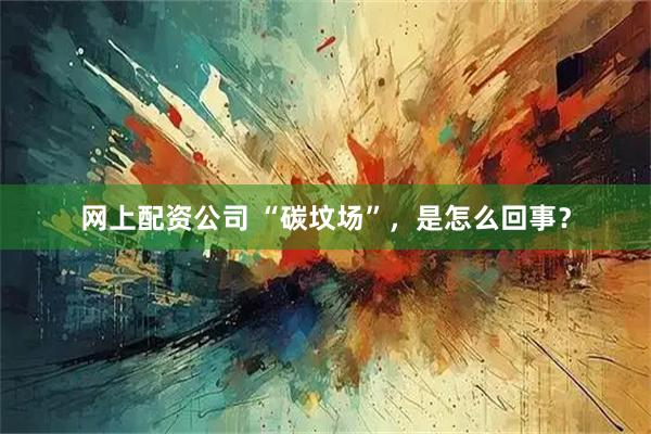 网上配资公司 “碳坟场”,是怎么回事?